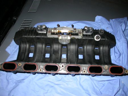m50.jpg